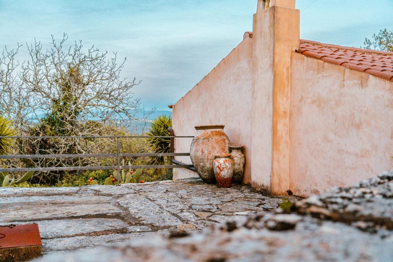 Villa Pedra Natural Houses Alvorge Dış mekan fotoğraf