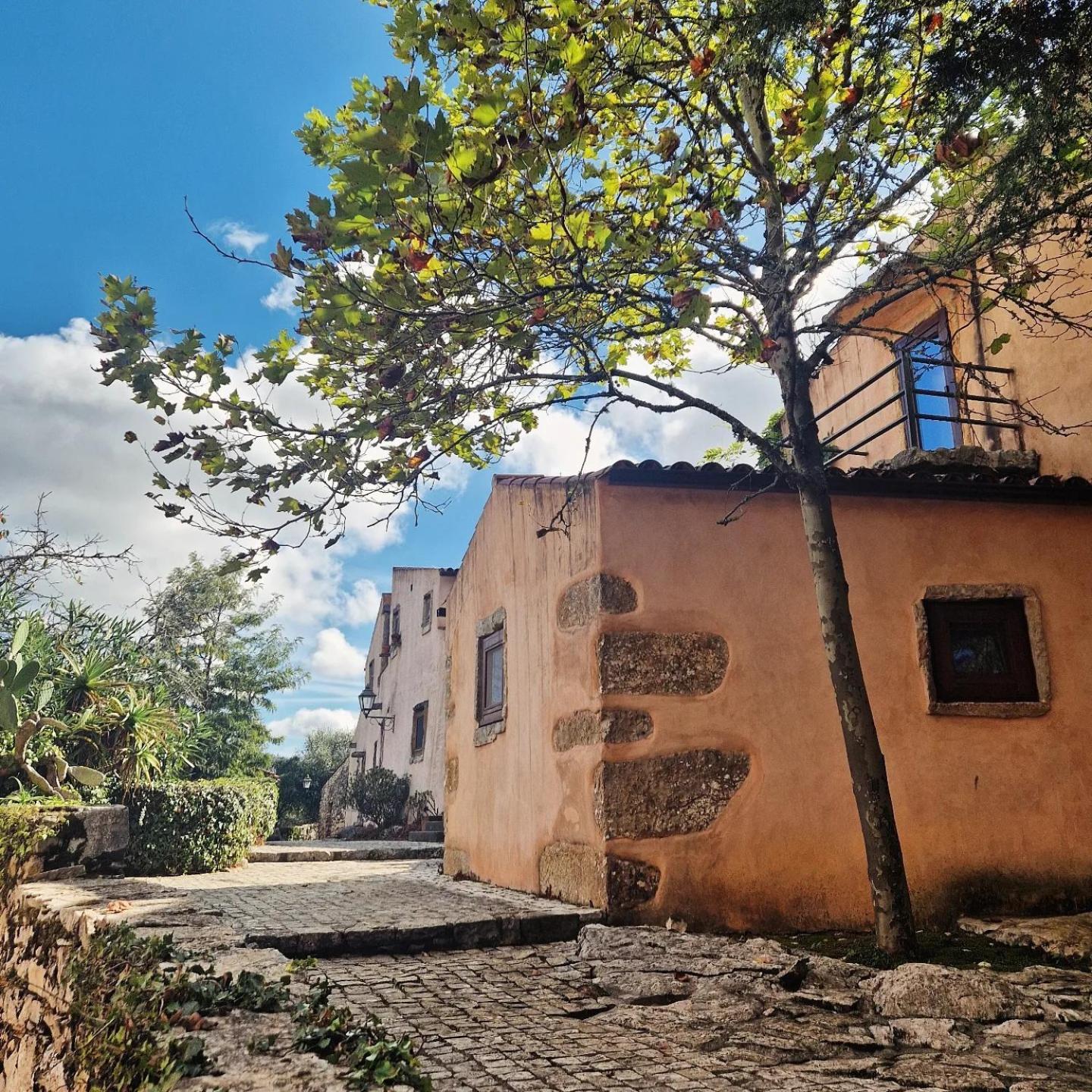 Villa Pedra Natural Houses Alvorge Dış mekan fotoğraf